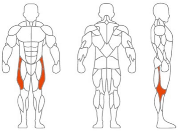 Main Muscle Worked: Adductor Muscle, Adductor Brevis, Longus, Magnus, Glute Muscle, Hips