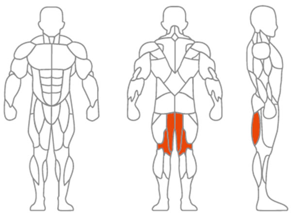 Main Muscle Worked: Hamstring, Leg Muscle