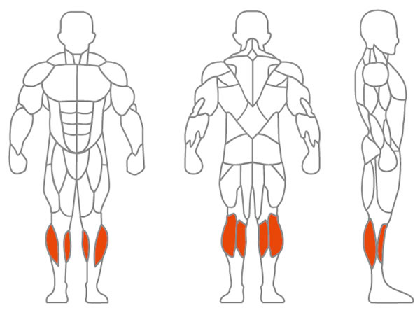 Main Muscle Worked: Calf Muscle